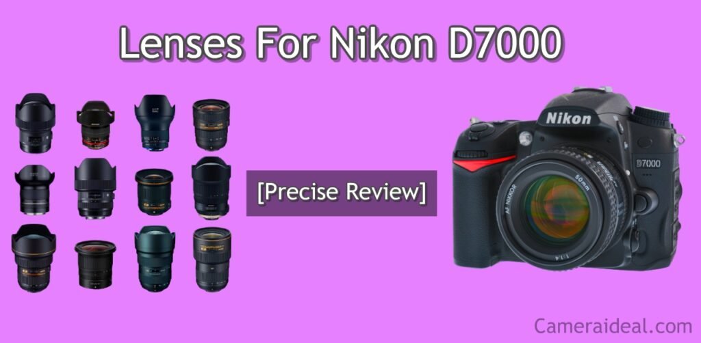 Lenses For Nikon D7000