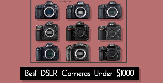 Best DSLR Cameras Under $1000