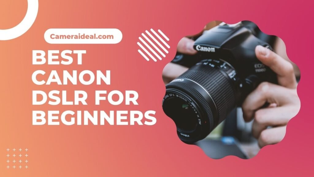 Best Canon DSLR Cameras For Beginners In 2024 Camera Vibes